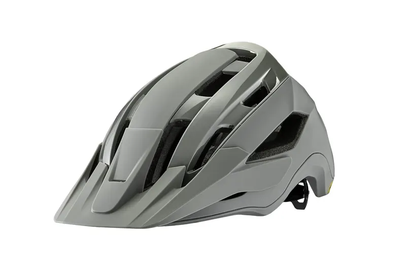 Giant Rail Mips Helmet In Matte Slate