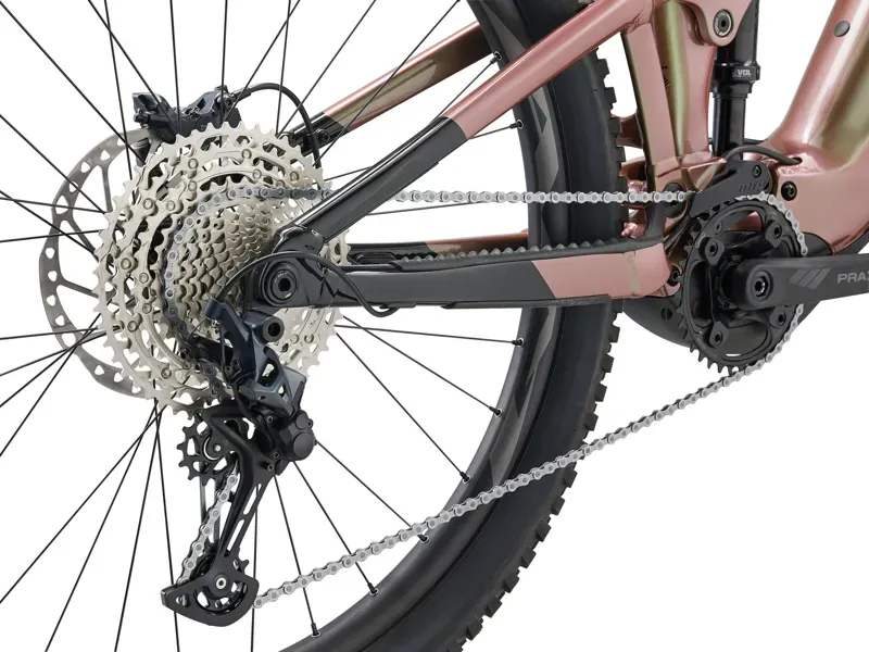 Giant Trance X E+ 2 E-MTB in Messier-5