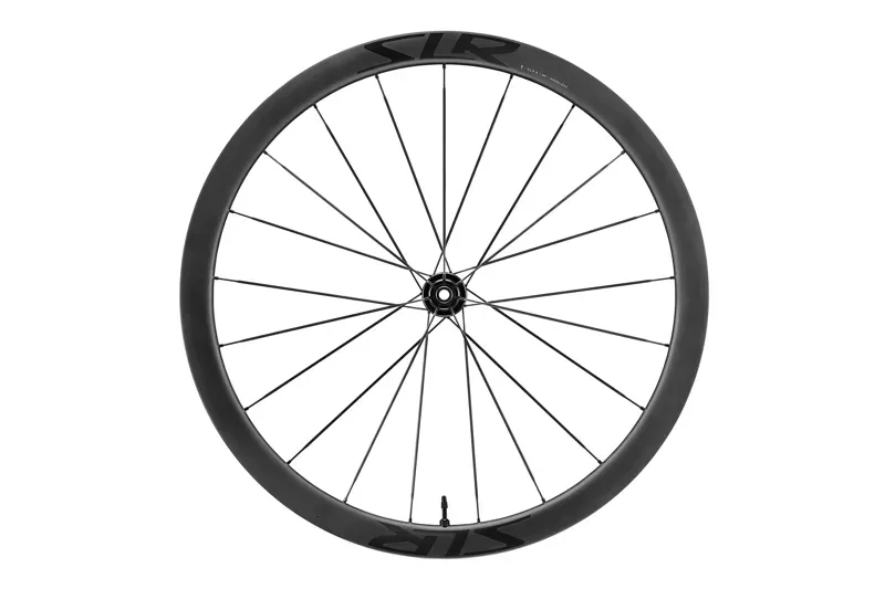 Giant SLR 0 4-pack 276.5mm Carbon Spokes in Black/Carbon
