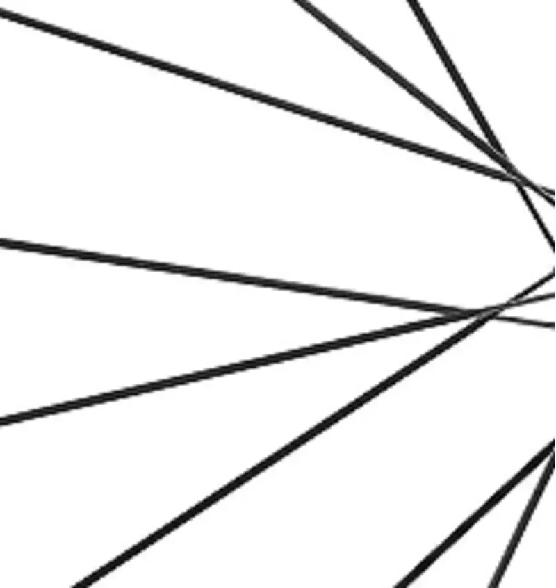 Giant SLR 0 4-pack 274.0mm Carbon Spokes in Black/Carbon-1